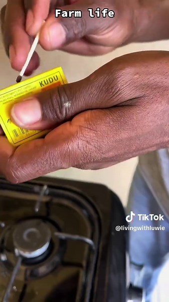 Exploring the Daily Life on a Farm