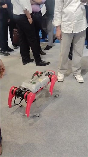 Evolution of Robot Dogs 🤖🐶 From Small to big ! #shortsfeed #shorts