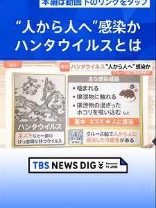 “ヒトからヒトへ”感染か ハンタウイルスで3人死亡 致死率約40％の型も…日本での流行リスクは【Nスタ解説】#tbs #tiktokでニュース