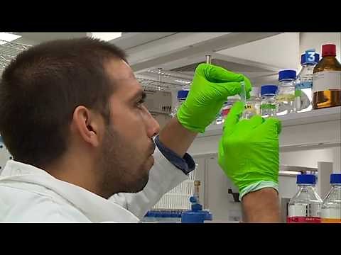 Neurocampus à Bordeaux : un nouveau centre de recherche pour concentrer les cerveaux