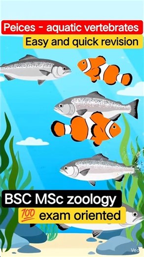 Pisces (fishes)- aquatic vertebrates BSC MSc easy and quick revision #shorts #science #facts #ai