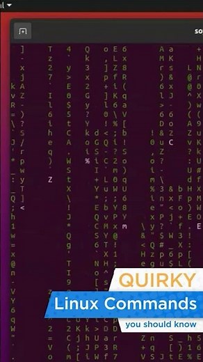 Linux Commands Cheat Sheet - Top 5 Quirky Linux Command You Should Know | #Shorts | Simplilearn