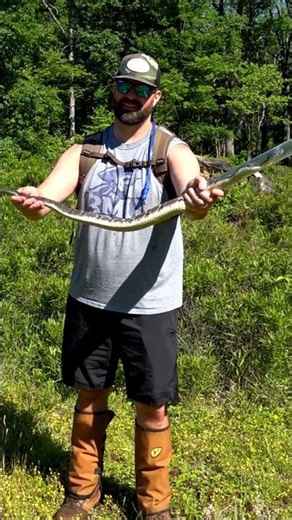Rattlesnake Hunting Season In Pennsylvania! Part 2 Coming Soon!