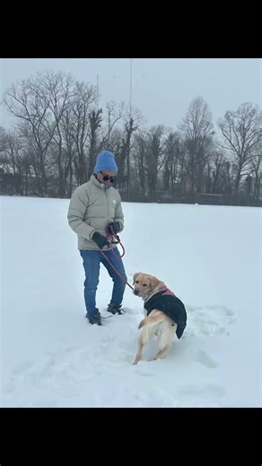 Florida born ➝ snow-approved ❄️Milly traded sunshine for snow days of Virginia 🐾
