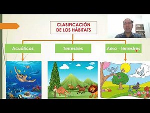 Clasificación de los Hábitats. Terrestres, Acuáticos y Aero-terrestres. Para Básica Elemental