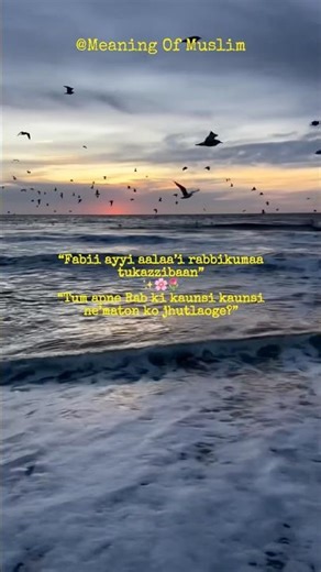 Tum Apne Rab Ki Kaunsi kainsi Ne’maton Ko Jhutlaoge? 📿🤲✨#islamicshorts