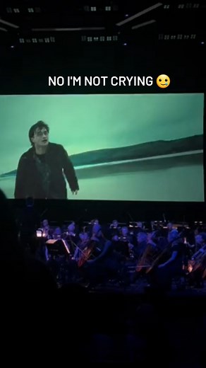 Harry Potter on Instagram: "No I'm not crying, seeing this scene for the first time was like a heartbreak 🥲🥲 #dobby #feelings #harry #harrypotter #elf"