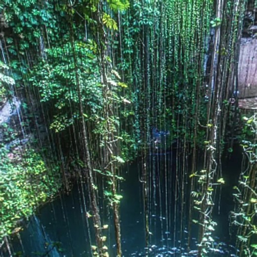 Water's getting colder 🥶 #lyrics_songs #fyp #chaseatlantic #swim