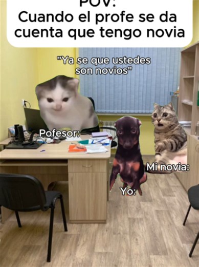POV: Cuando el profe se da cuenta que tengo novia😭​😂​ #gatos #catmeme #humor #michis #gracioso
