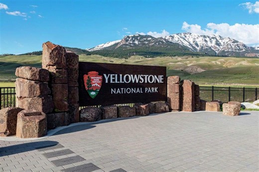 Bear attack injures two hikers in Yellowstone National Park