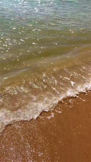 Sea shell 🐚 #reethikaraghuraman #nature #love #travel #peace #sea #canada #canadianphotographer