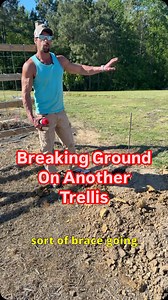 Well, I started another trellis! As with all of them it is just shy of 100 feet long. I am going with a simple but very heavy duty, multi cable trellis. It will have 2 or 3 horizontal rows of cables plus a rope hanging down to each plant for vertical support. Be sure to follow this build! #trellis #tomato #tomatoes #tomatoes🍅 #garden #gardentrellis #homestead #diy #projects #custombuilds #homesteading #dad #growfoodnotlawns | Salmon Creek Living