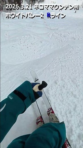 2026.3.21 ネコママウンテン南 ホワイトバレー2 R（#スキー #コブ #モーグル #新雪 #パウダー #会津 #ネコマ #アルツ #ネコママウンテン #shorts）