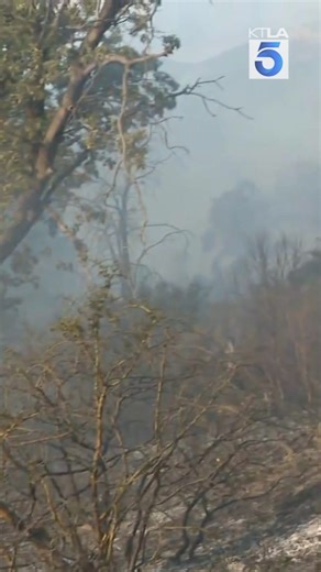 LIVE UPDATES: As of Tuesday morning, the fire had scorched more than 26,000 acres and forced the evacuation of thousands of homes in the communities of Running Springs, Highland, and Redlands. 38,000 structures are threatened, and California Gov. Gavin Newsom has declared a state of emergency. | KTLA 5 News