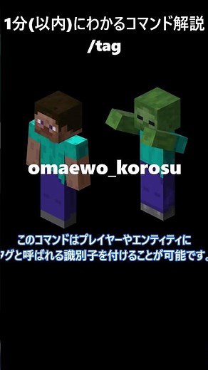 【1分コマンド解説】【Minecraft】/tag編