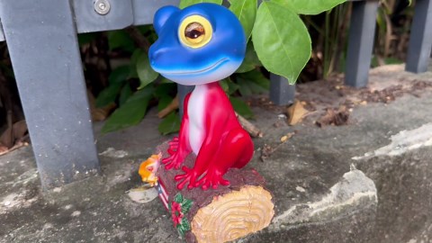 Puerto Rico Rooster Coqui Music Box Figurine, Handmade Boricua Decor, Puerto Rican Coqui Frog with Sound, Boricua-Inspired Taino Art, I Love Puerto Rico Puerto Rico Musical Boxes & Figurines