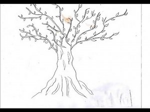 PERSONALITY AND TREE TEST