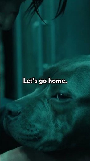 John Gets a New Dog | John Wick