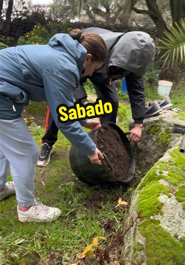 Descanso Activo en Boxeo: Entrenamiento Familiar