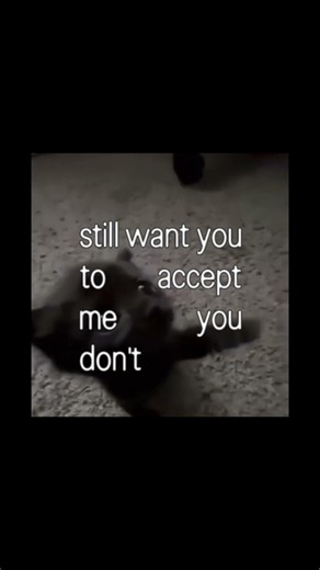 Song - why don’t you love me b Josay #alternativerock #indiemusic #cat #overtonight #newmusic