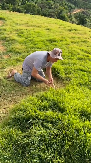 Awesome Ideas #fb | Make Alex