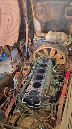 Lachie O'Malley on TikTok