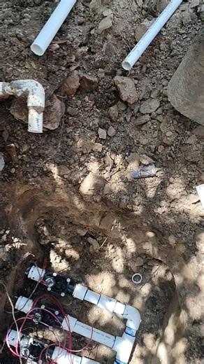 Found this treasure 🍀 today while making a underground sprinkler system repair #101 #lucky #garden