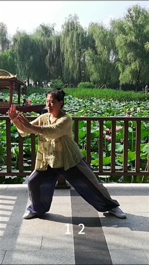 Chen Style Tai Chi Essential 18 Forms | Lesson 4| 4 key points