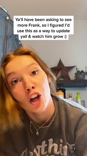 Frank the Whoodle: Duet Every Week or Every Month?