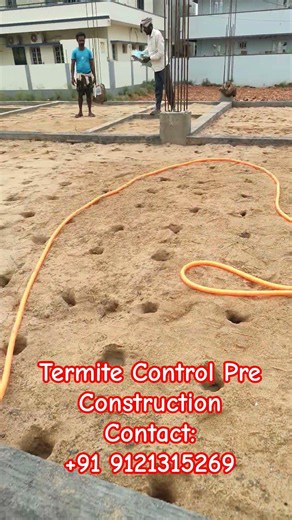 Pest Control Services #termitecontrol #ad #pestcontrol #ytshorts