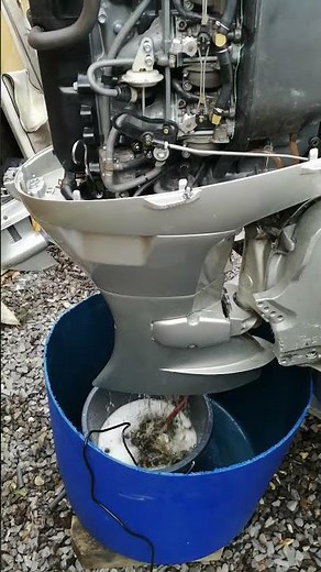 Rydlyme marine flush honda bf40