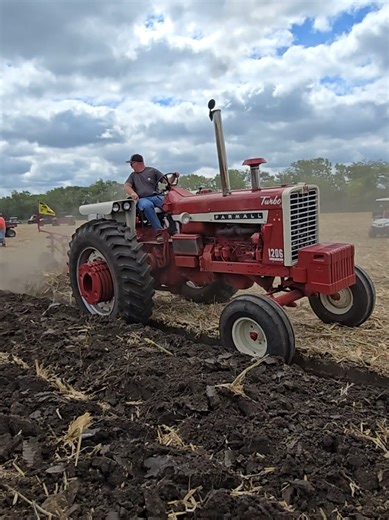 International 1206 Plowing at the Half Century of Progress Show 2025 #farmallfanatic #farmliferedpower #internationalharvester #redpower #farmalltractors