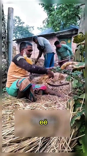 Удивительные дома из соломы 🏠 #Бангладеш #ЭкоДом