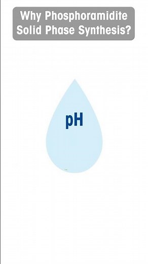 Why Phosphoramidite Solid Phase Synthesis?