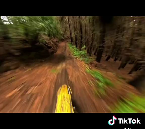 Riding Full Speed Through the Woods on a Dirtbike