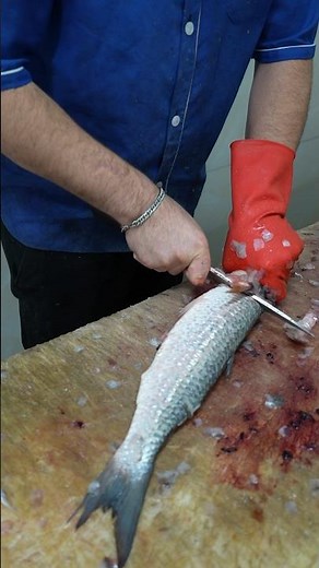 Real-Time Fish Fillet – Flathead Grey Mullet in the Market! (No Music, Just Knife Sounds)