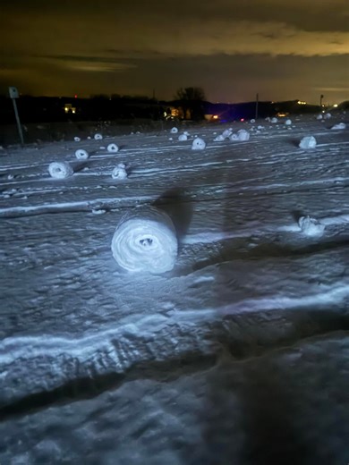 See it: Dozens of rare snow rollers appear in Michigan yard