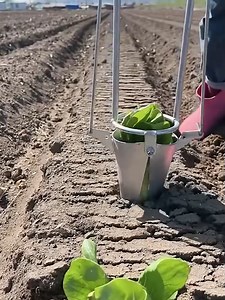 A new agricultural tool 👍🏻 | Handy Dandy