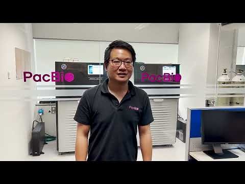 MAS-Seq for Single Cell Bioinformatics Walkthrough