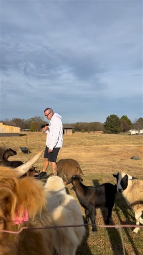 Farm life at @pricefamilyfarm | Todd Price