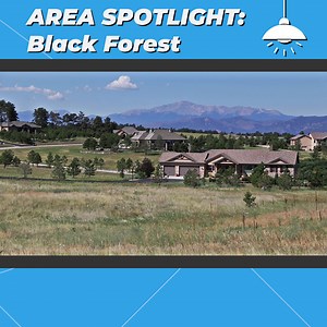 ‼️AREA SPOTLIGHT: BLACK FOREST. 🙌 This area is unlike any other part of El Paso county. It’s rolling hills, ponderosa pine trees, and many custom homes make is a beautiful place to live.🕺To view homes for sale and get more info about this area, check out our Black Forest webpage at goo.gl/f969p2 👀 | Great Colorado Homes