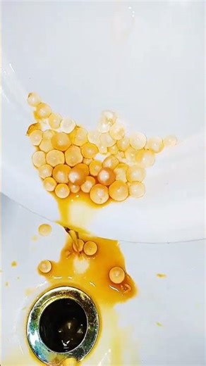 Golden Toad Eggs: The Mysterious Life Cycle of Frogs