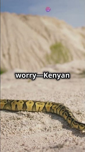 🐍 Meet the Adorable Kenyan Sand Boa! – The Ultimate Beginner Snake! 🏜️
