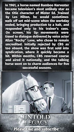 Bamboo Harvester: The Horse Who Became TV’s Mr. Ed 🐴