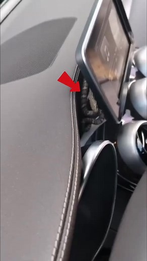 How did the snake get into the car? How to solve the problem?#driving #skills #tips #knowledge #fpy | Vermijl Car Detail