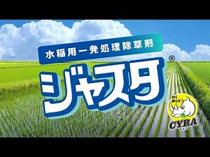 水稲用一発処理除草剤ジャスタのイボクサに対する効果