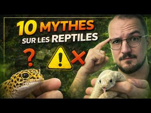 Tu crois ça sur les REPTILES ? 10 MYTHES DÉTRUITS ! 💥