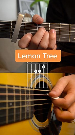 Learn to Play Lemon Tree on Guitar with Easy Chords!