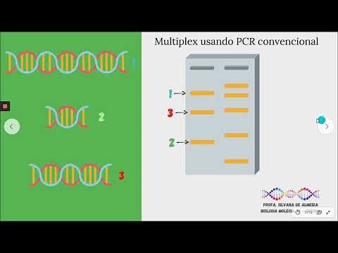 Aula sobre PCR multiplex