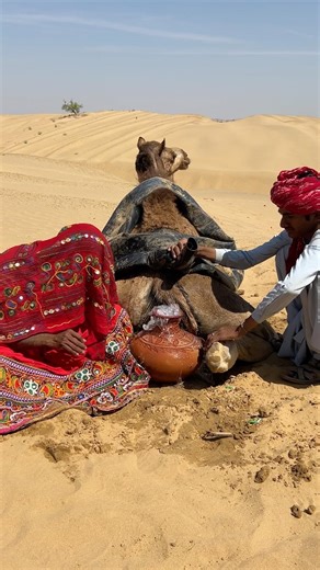 ٦ حقائق عن الصحراء 🌵 ماذا يفعل الناس لحماية الإبل من الحر؟ 🫨